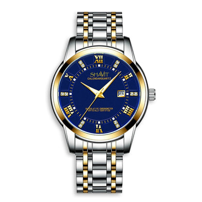 Men's Stainless Steel Quartz Luminous Classic Business Wristwatch